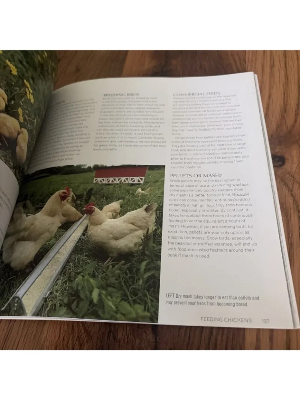 Keeping Chickens : Getting the Best from Your Chickens by Jeremy Hobson and...